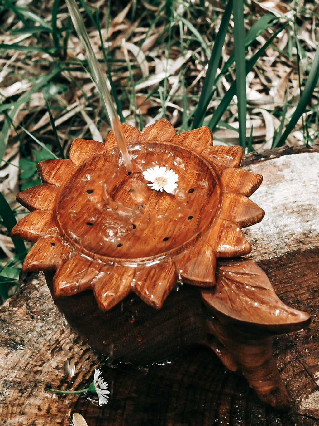 Sun Strainer image 3