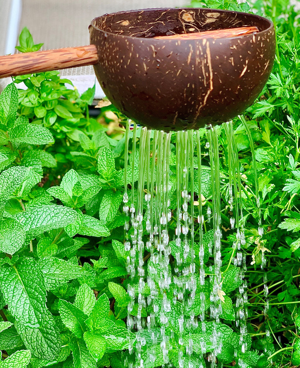 Coconut Sieve image 0