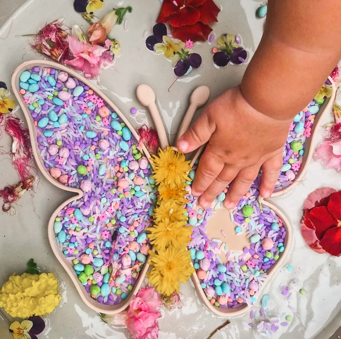 Sensory Bases image 1