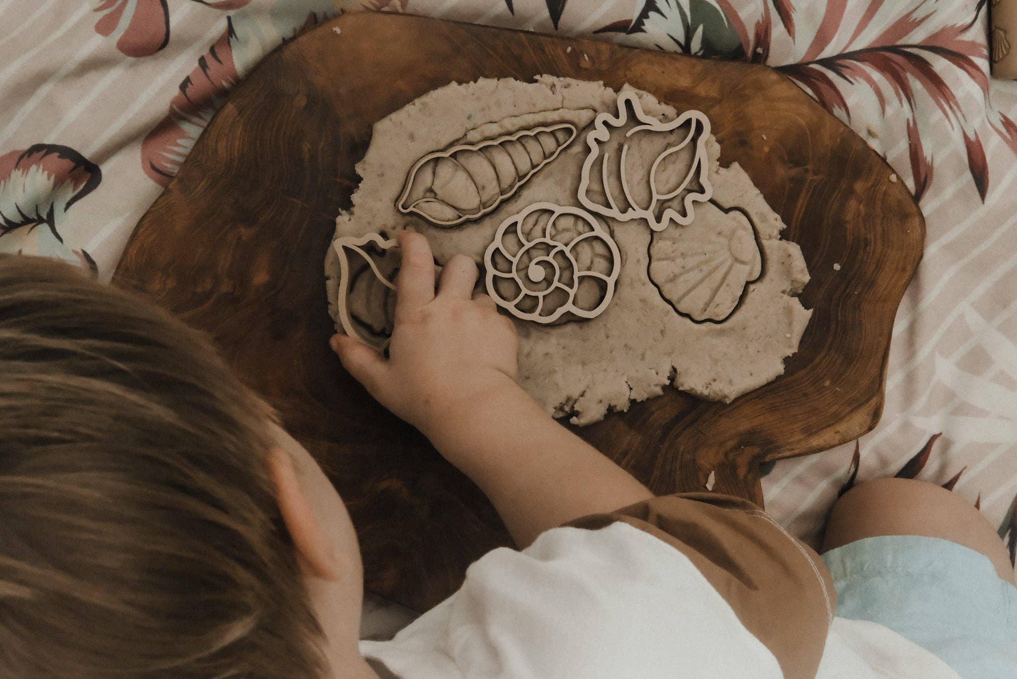 Sea shell Eco Cutter Set