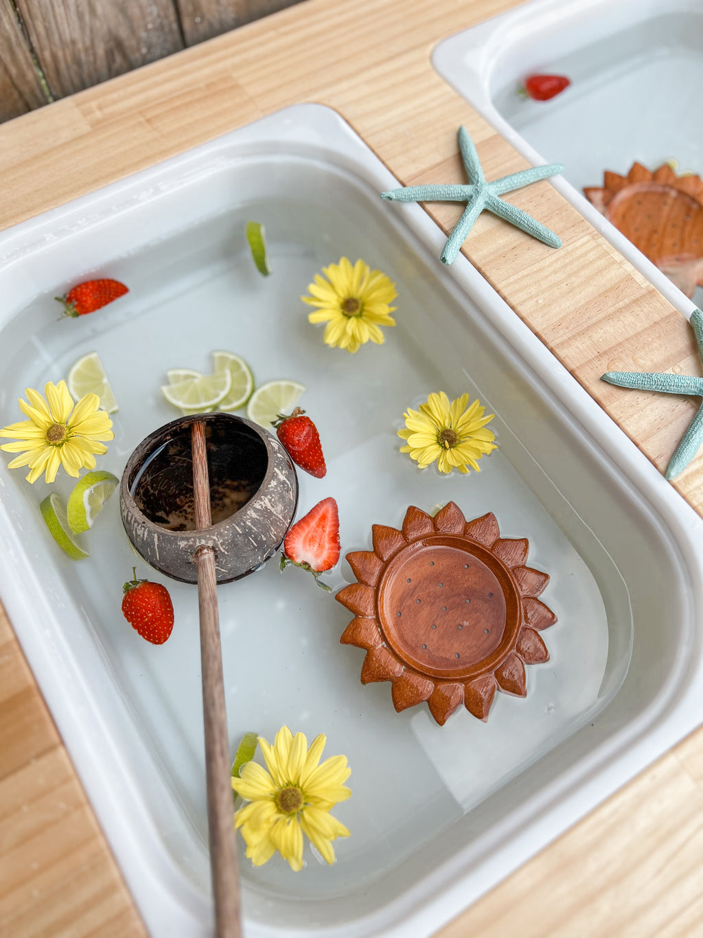 Coconut Scoop image 2