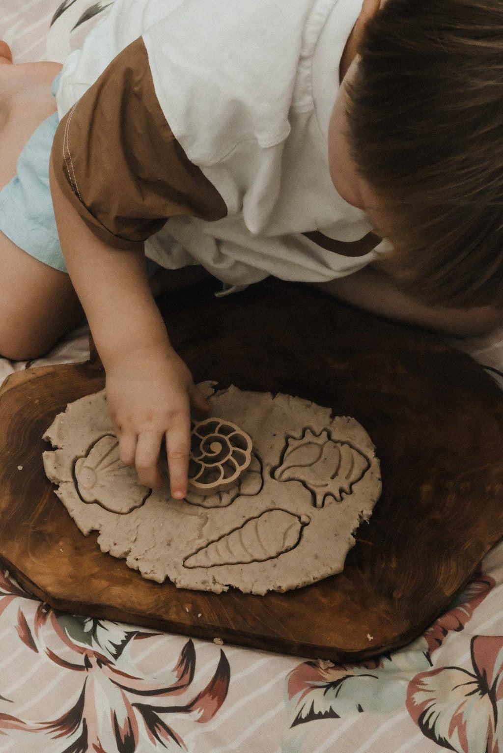 Sea shell Eco Cutter Set