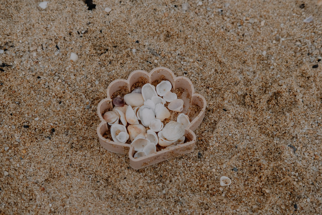 Sea Shell Eco Mould image 1