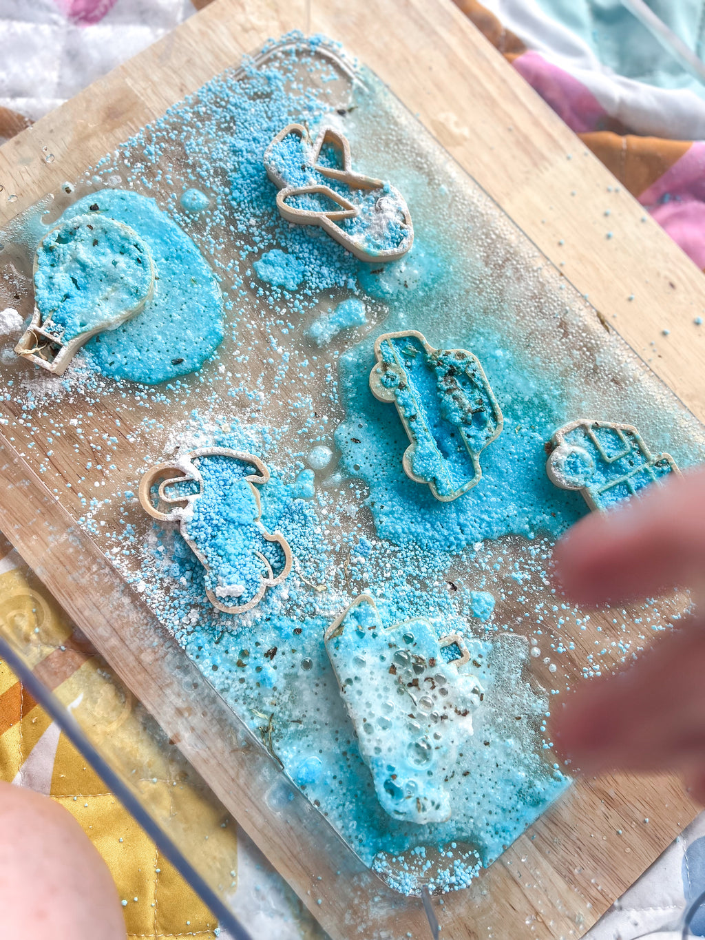 Coastal Explorer Bundle