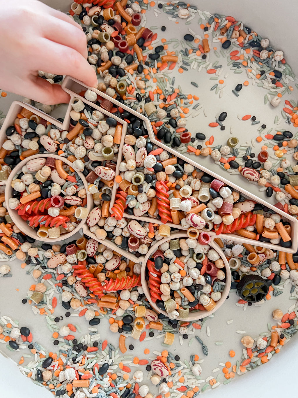 Sensory Bases image 5