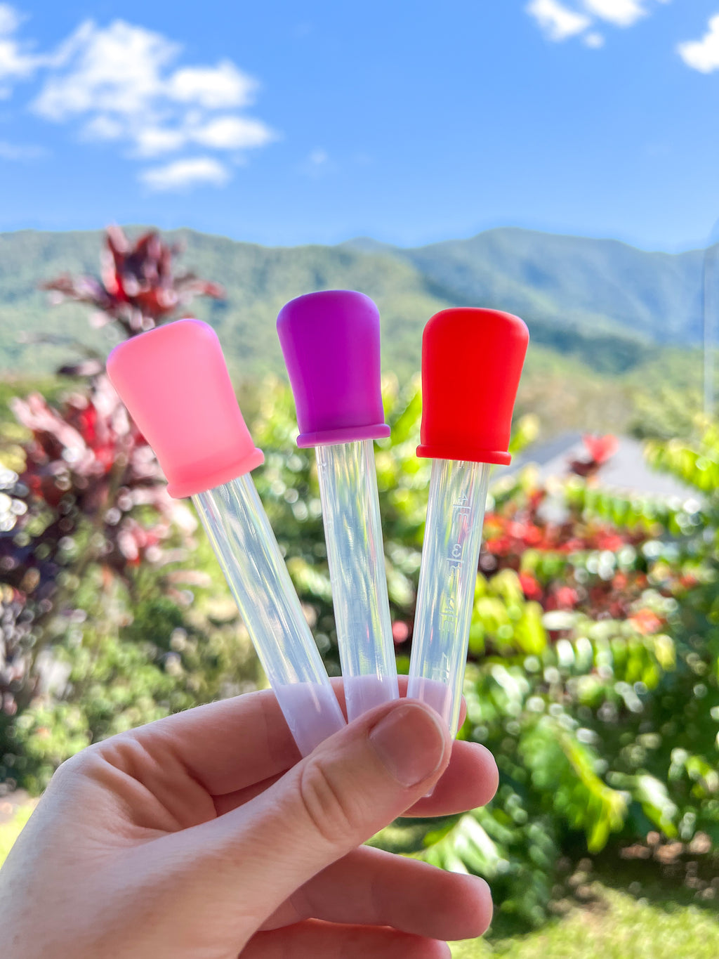 Pipette Droppers image 2