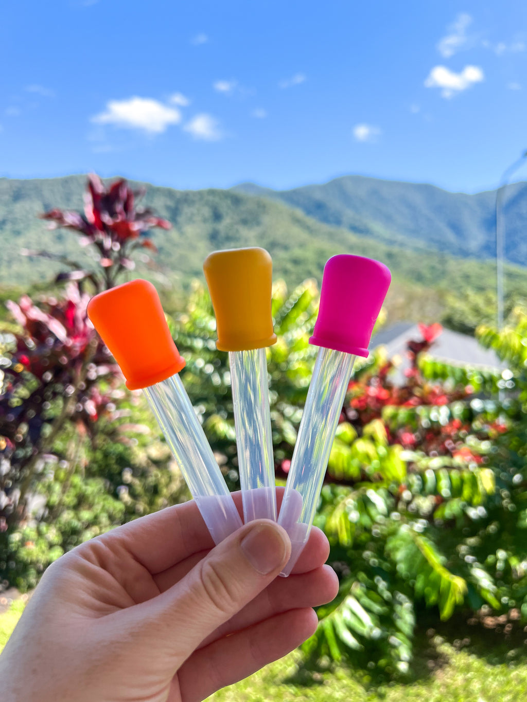 Pipette Droppers image 1