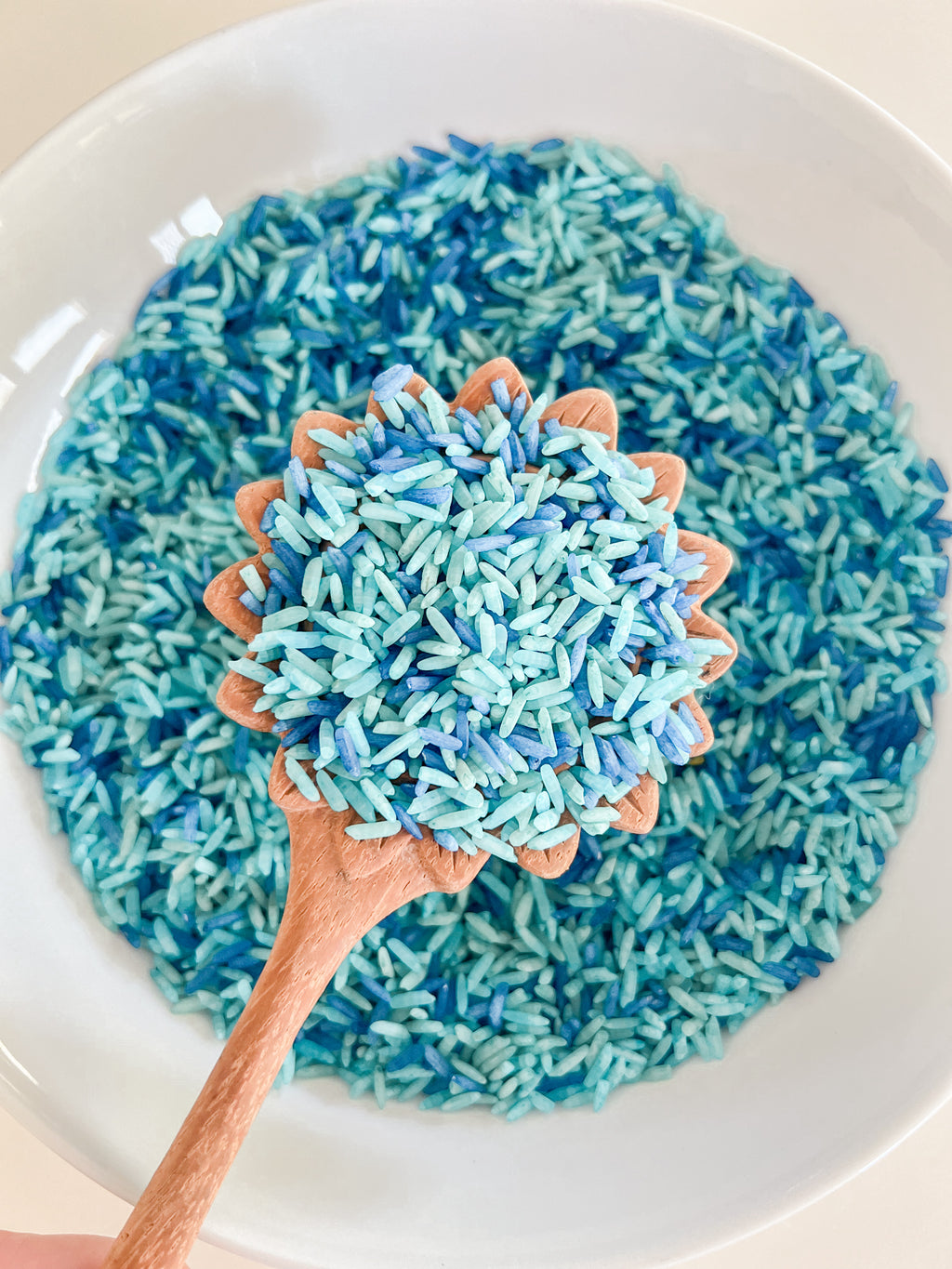 Shillon Colored Rice Coloured Rice – The Sensory Way