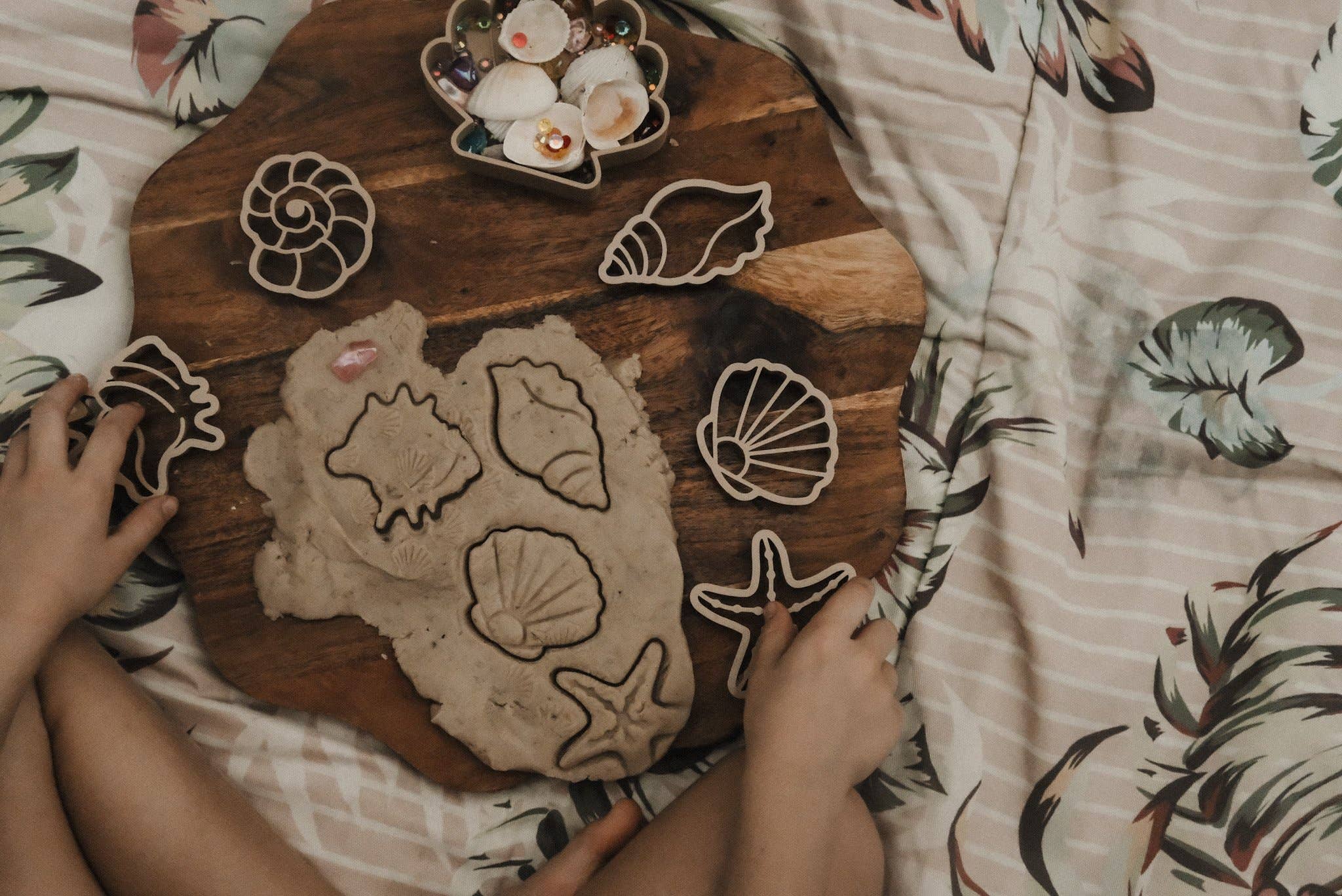 Sea shell Eco Cutter Set