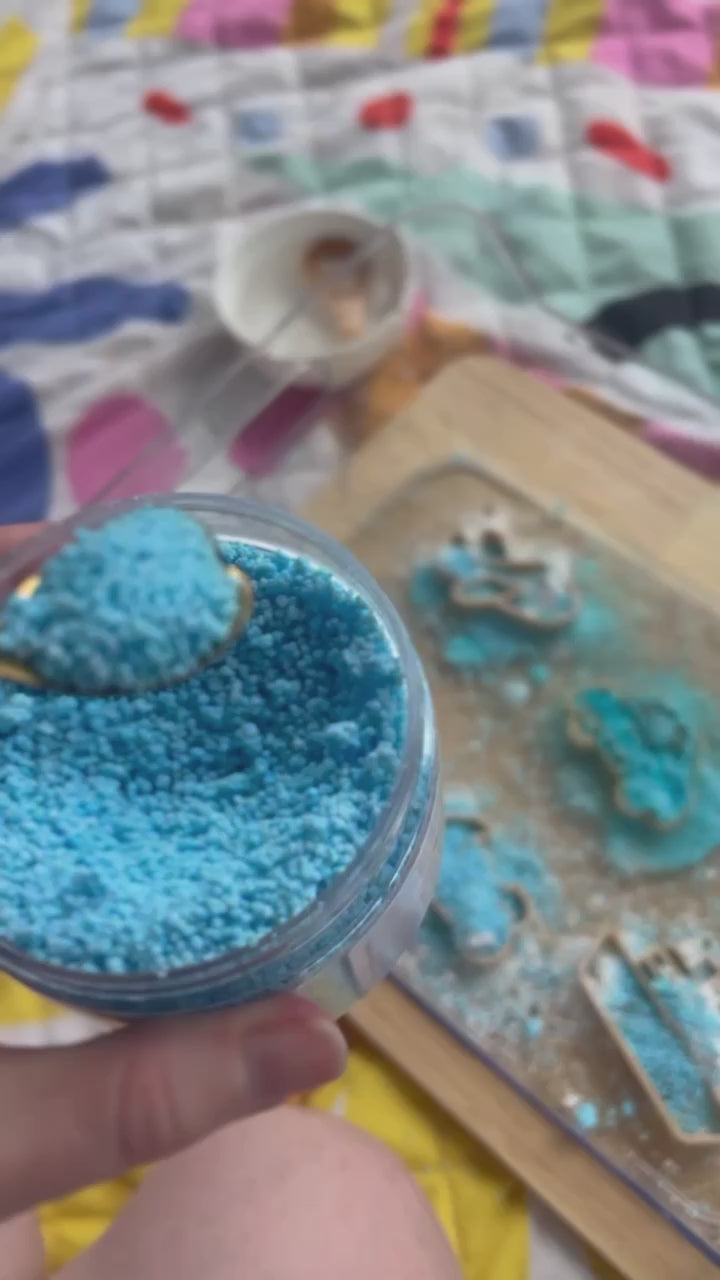 Coastal Explorer Bundle